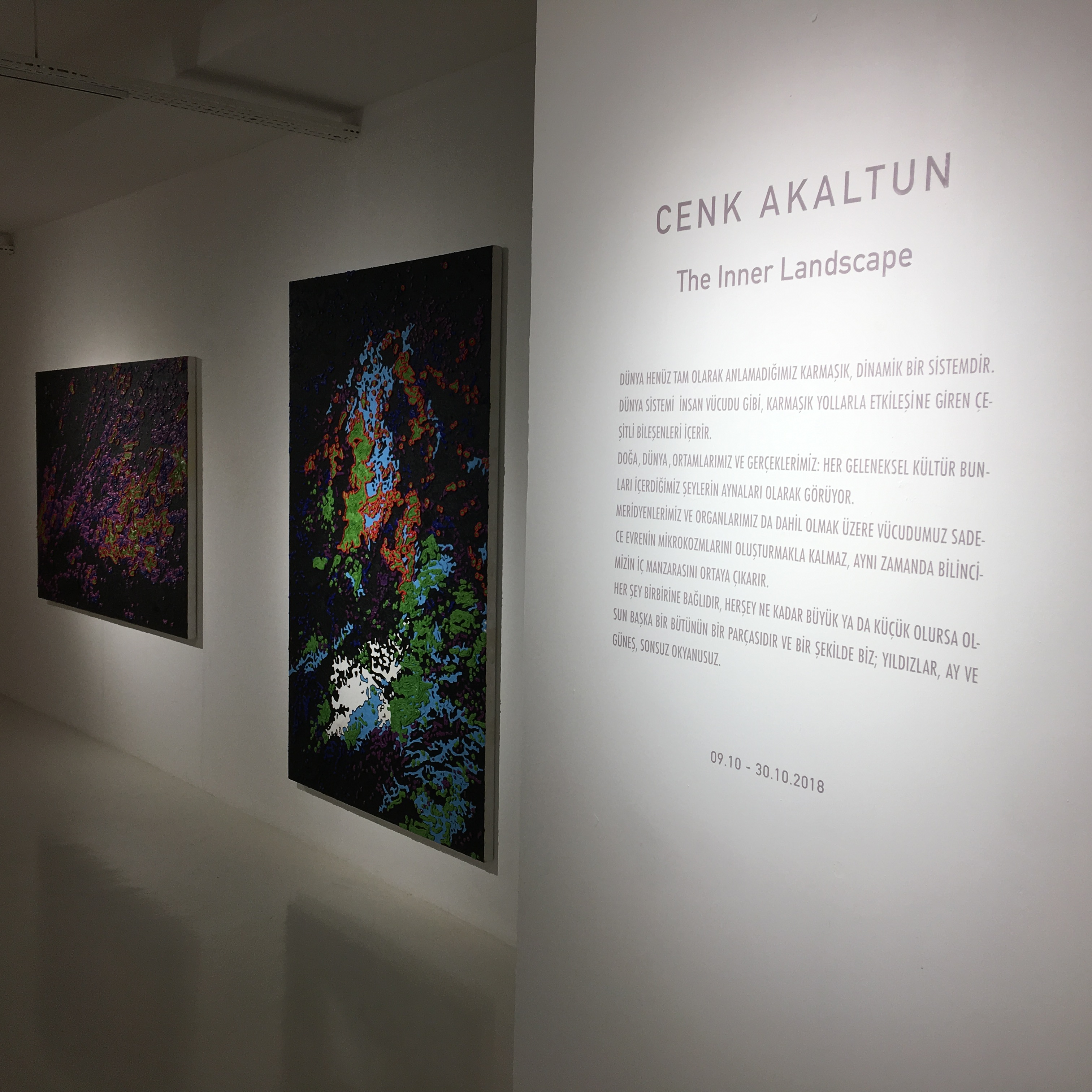 Cenk Akaltun – The Inner Landscape